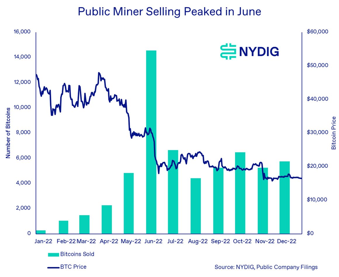 Weekly 1-Jan-13-2023-05-38-45-6034-PM