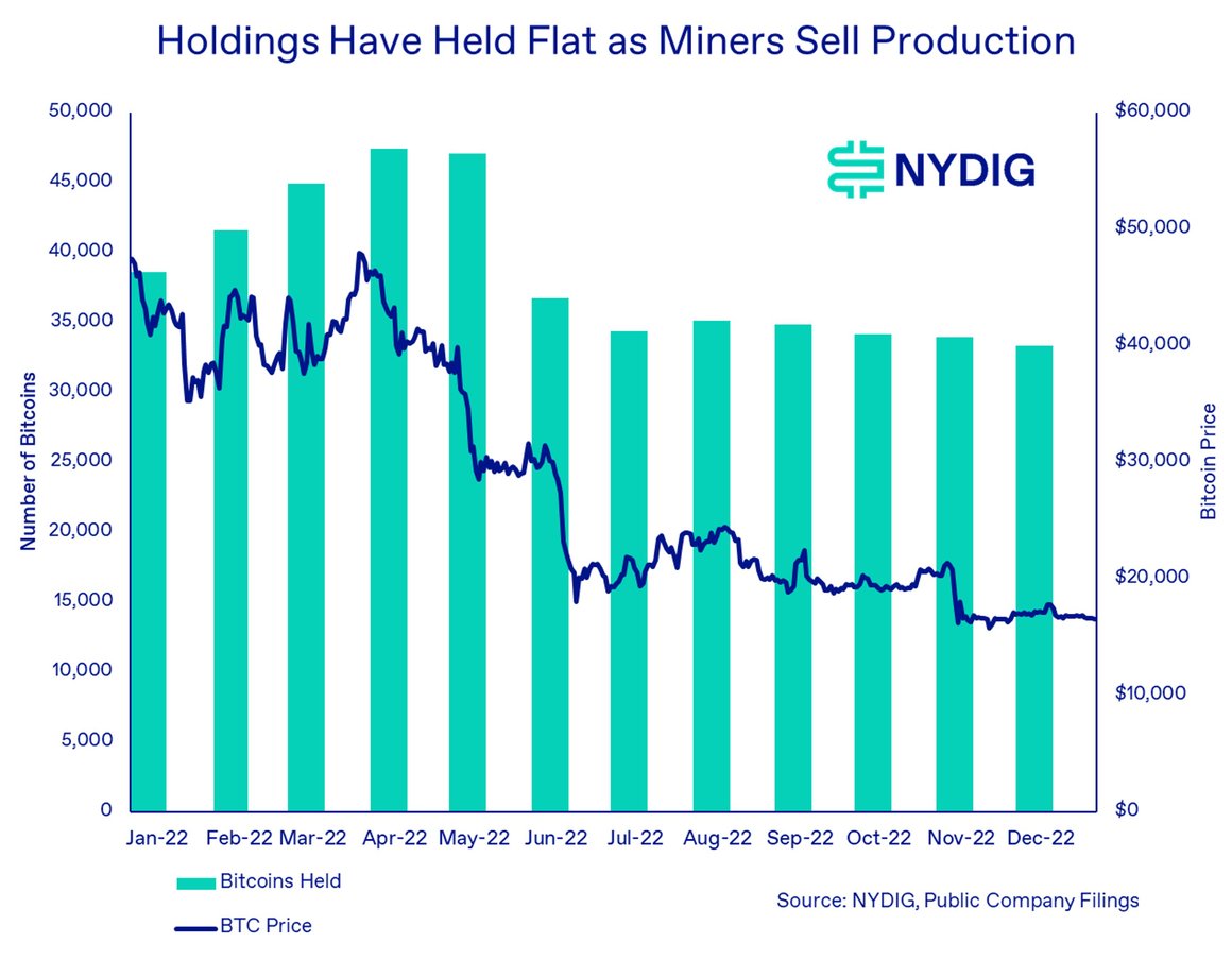 Weekly 2-Jan-13-2023-05-39-02-8624-PM